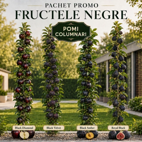 Promotii Pomi Fructiferi Columnari