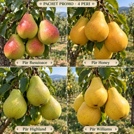Pachet Promo - 4 Peri Premium