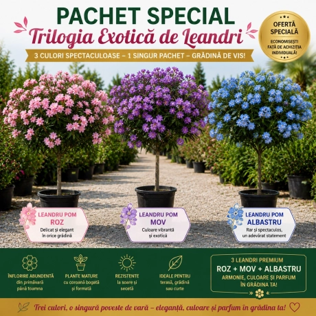 Pachet PROMO 1 - Leandru Tip Pomisor