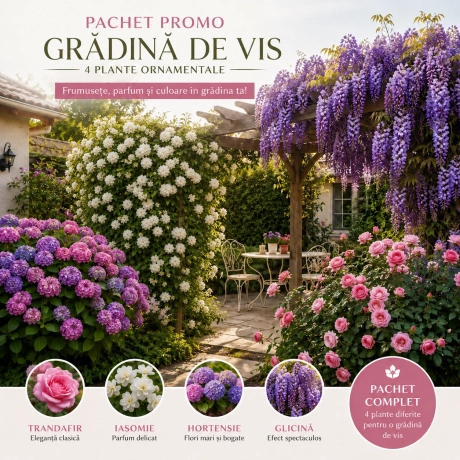 Pachet Gradina de Vis - 4 Plante Ornamentale