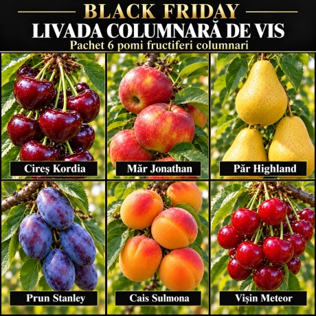 Pachet Black Friday „Livada Columnară de Vis” – 6 pomi fructiferi columnari