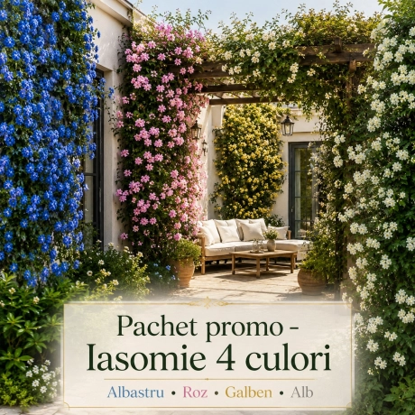 Pachet Promo Iasomie - 4 Bucati