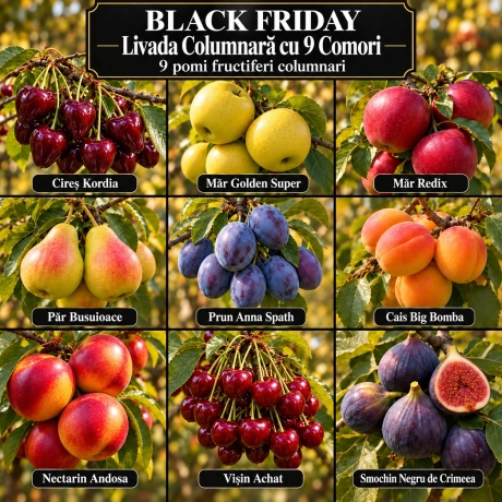Pachet Black Friday „Livada Columnară cu 9 Comori” – 9 pomi fructiferi