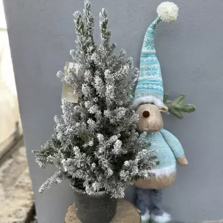Brad Natural decorat cu Zapada Artificiala la Ghiveci