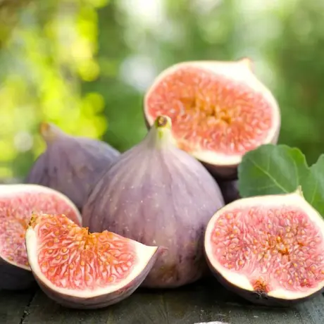 Pom fructifer - Smochin Royal Black la Ghiveci