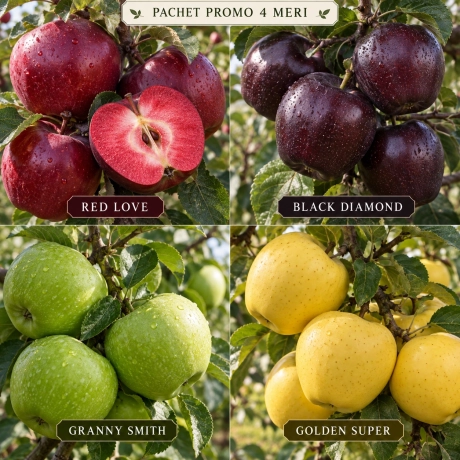 Pachet Promo - 4 Meri Premium