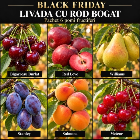 Pachet Black Friday „Livada cu Rod Bogat” – 6 pomi fructiferi