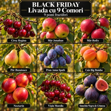 Pachet Black Friday „Livada cu 9 Comori” – 9 pomi fructiferi