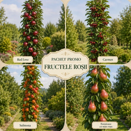 Pachet Promo 4 Pomi Fructiferi Columnari - Fructele Rosii