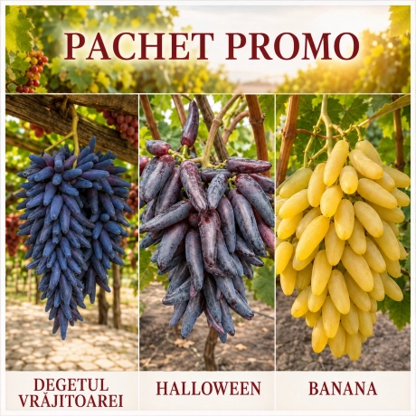 Pachet PROMO 3 Vita de vie - La Ghiveci