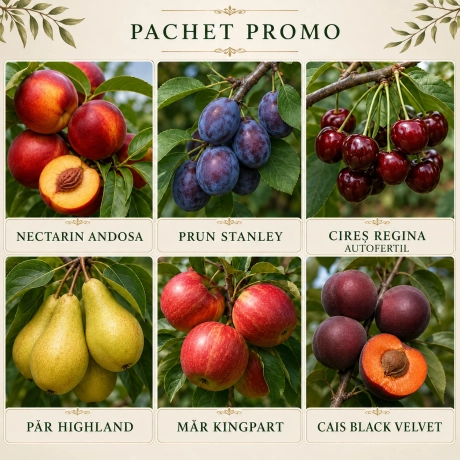 Pachet Promo 6 Pomi Fructiferi - Livada Regala