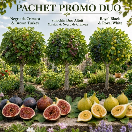 Pachet Trio de Smochini Duo - La Ghiveci