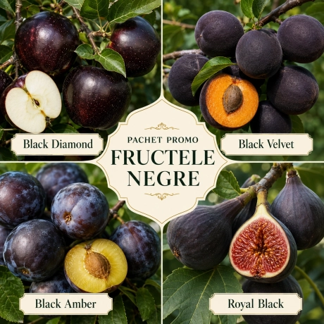Pachet Promo 4 Pomi Fructiferi - Fructele Negre