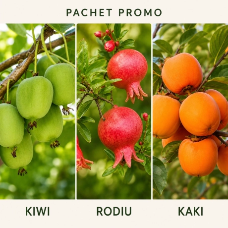 Pachet Promo Exotic - Kiwi, Rodiu si Kaki