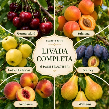 Pachet Promo Livada Completa - 6 Pomi Fructiferi