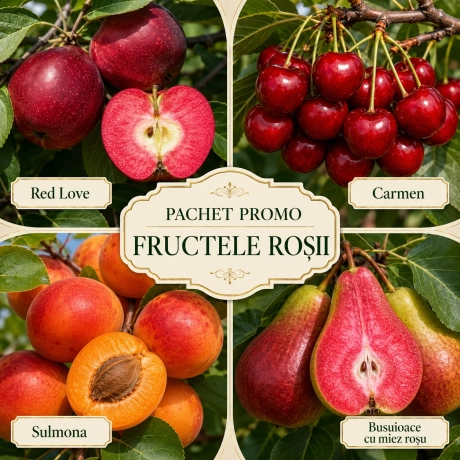 Pachet Promo 5 Pomi Fructiferi - Fructele Rosi